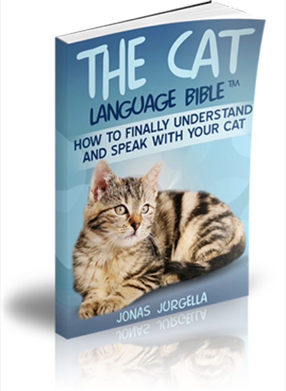 Brand New! Cat Language Bible (TM) How to Finally Speak Cat vendor product image for the Everyrated review