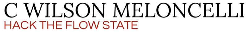 Flow State Training Program vendor product image for this Everyrated magazine article