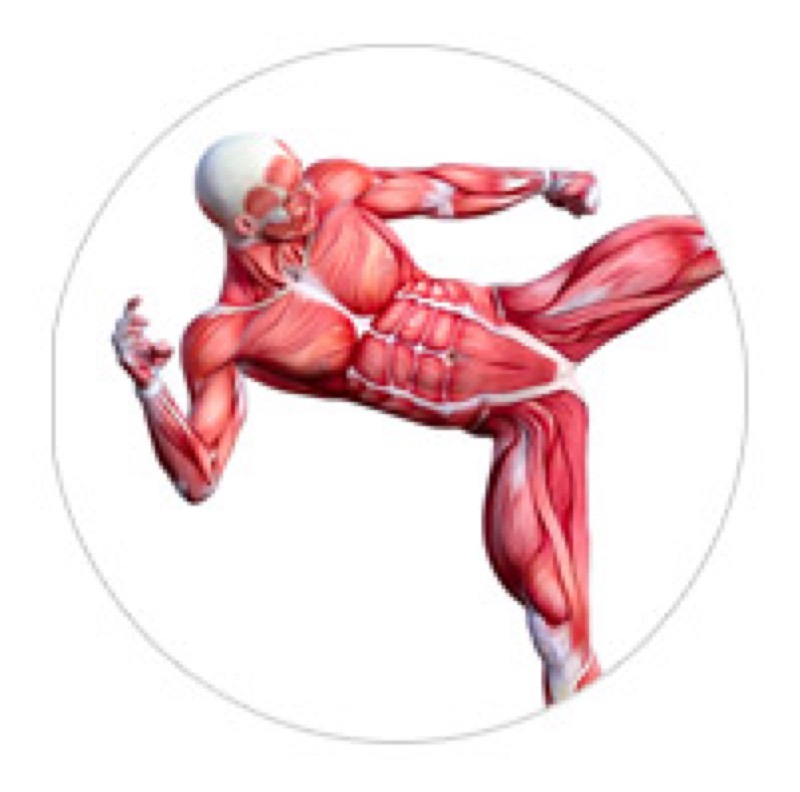 Metabolic Stretching vendor product image for this Everyrated magazine article