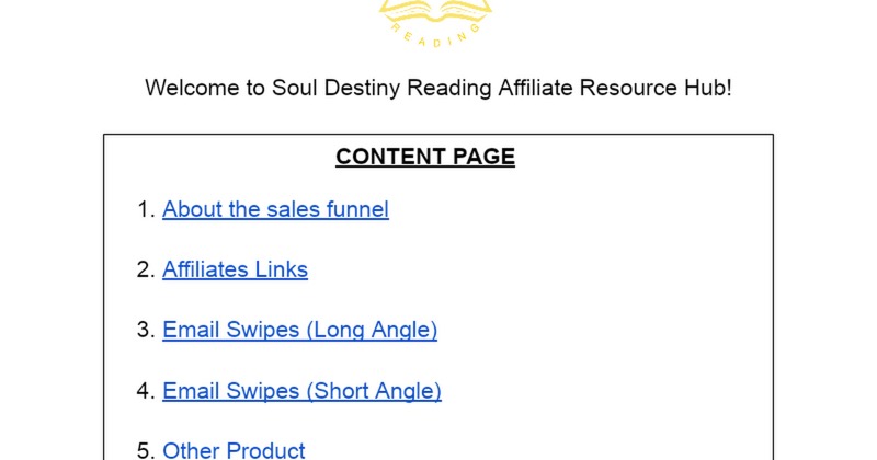 NEW 2026 - Soul Destiny Reading vendor product image for this Everyrated magazine article