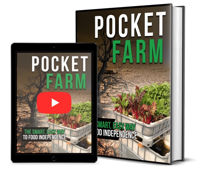 New Food Offer: Pocket Farm! 2023 Cash Camel. New VSL Killing It vendor product image for this Everyrated magazine article