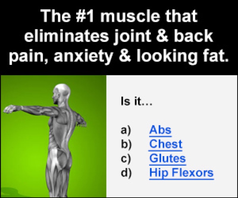 NEW Unlock Your Hip Flexors VSL with Therapy Tool vendor product image for this Everyrated magazine article
