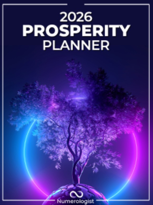 Numerologist.com vendor product image for the Everyrated review