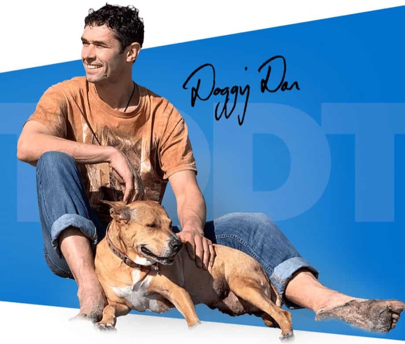 Solve Dog Reactivity AutoWebinar - Tames The World's No.1 Dog Problem vendor product image for this Everyrated magazine article