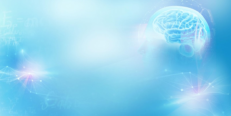 Super Mind Signal vendor product image for this Everyrated magazine article