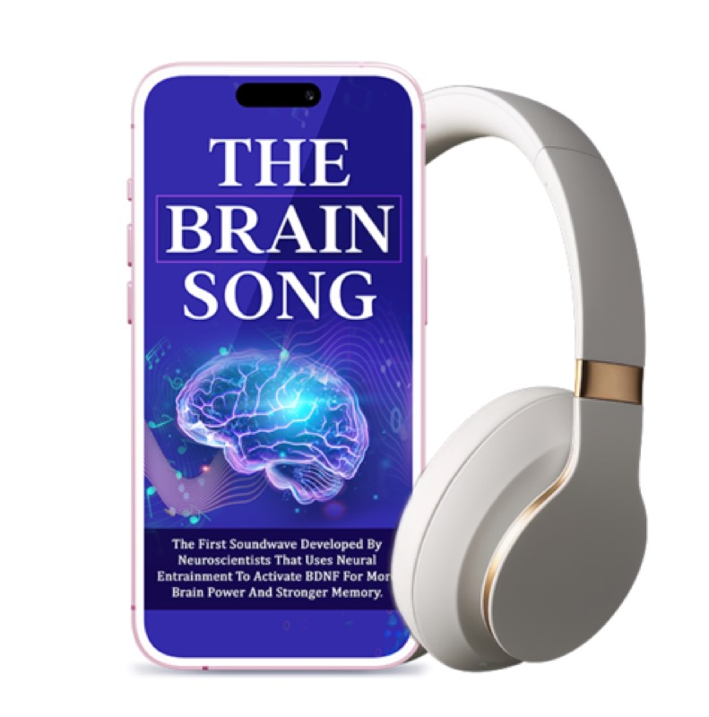 The Brain Song vendor product image for the Everyrated review