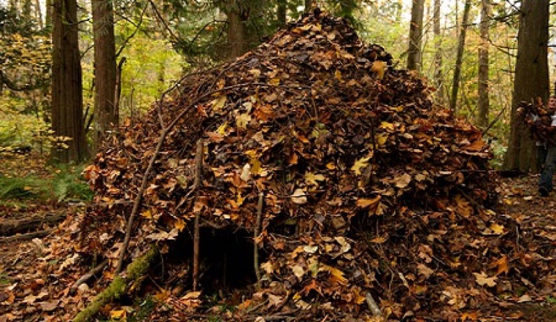 The Essential Skills of Wilderness Survival book vendor product image for this Everyrated magazine article