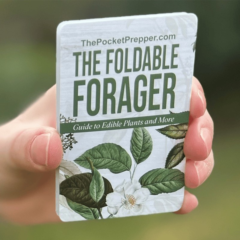 The Foldable Forager vendor product image for this Everyrated magazine article
