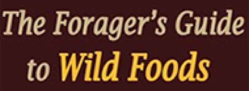 The Forager's Guide to Wild Foods vendor product image for this Everyrated magazine article
