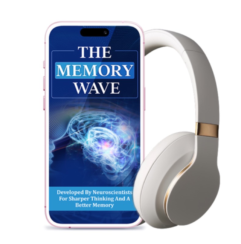 The Memory Wave vendor product image for this Everyrated magazine article