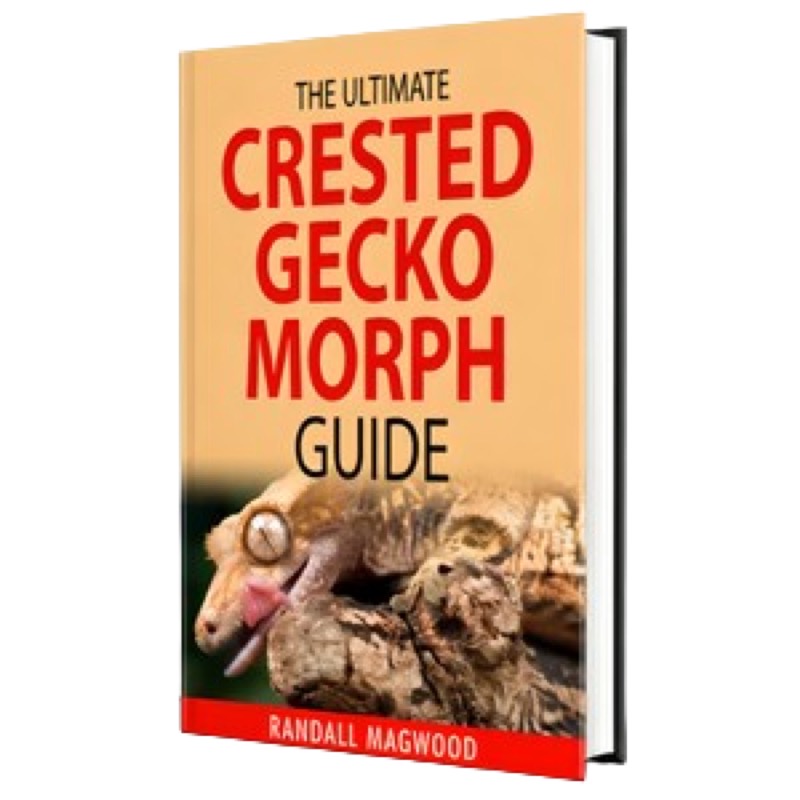 The Ultimate Crested Gecko Morph Guide vendor product image for the Everyrated review