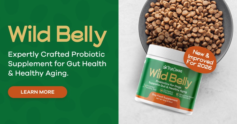 Wild Belly Dog Probiotic vendor product image for this Everyrated magazine article